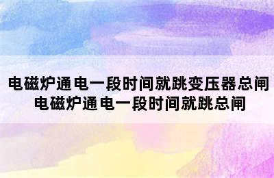 电磁炉通电一段时间就跳变压器总闸 电磁炉通电一段时间就跳总闸